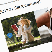 UC1121 Slick carousel